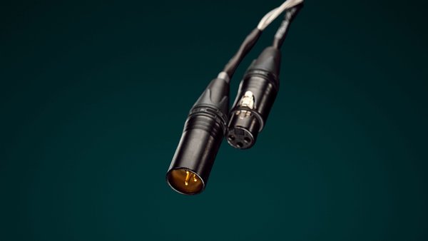 Ansuz Acoustics - Signalz X2 / Signal cable (XLR)